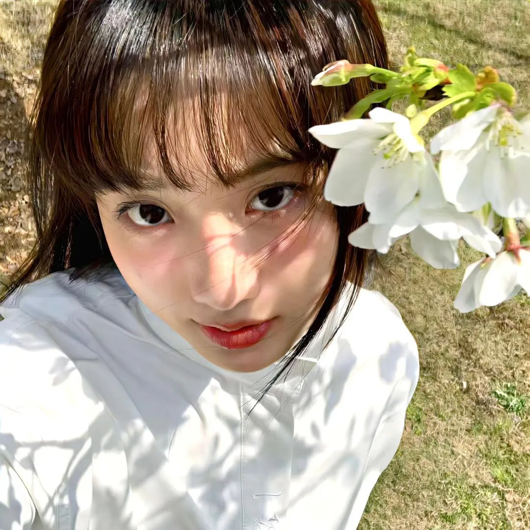 燃烧的菩提